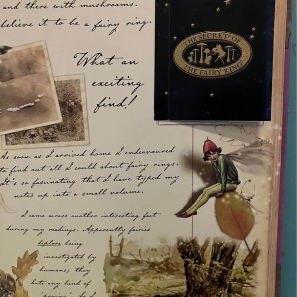 Do You Believe In Fairies? A Flower Fairies Journal - Picture 11 of 12